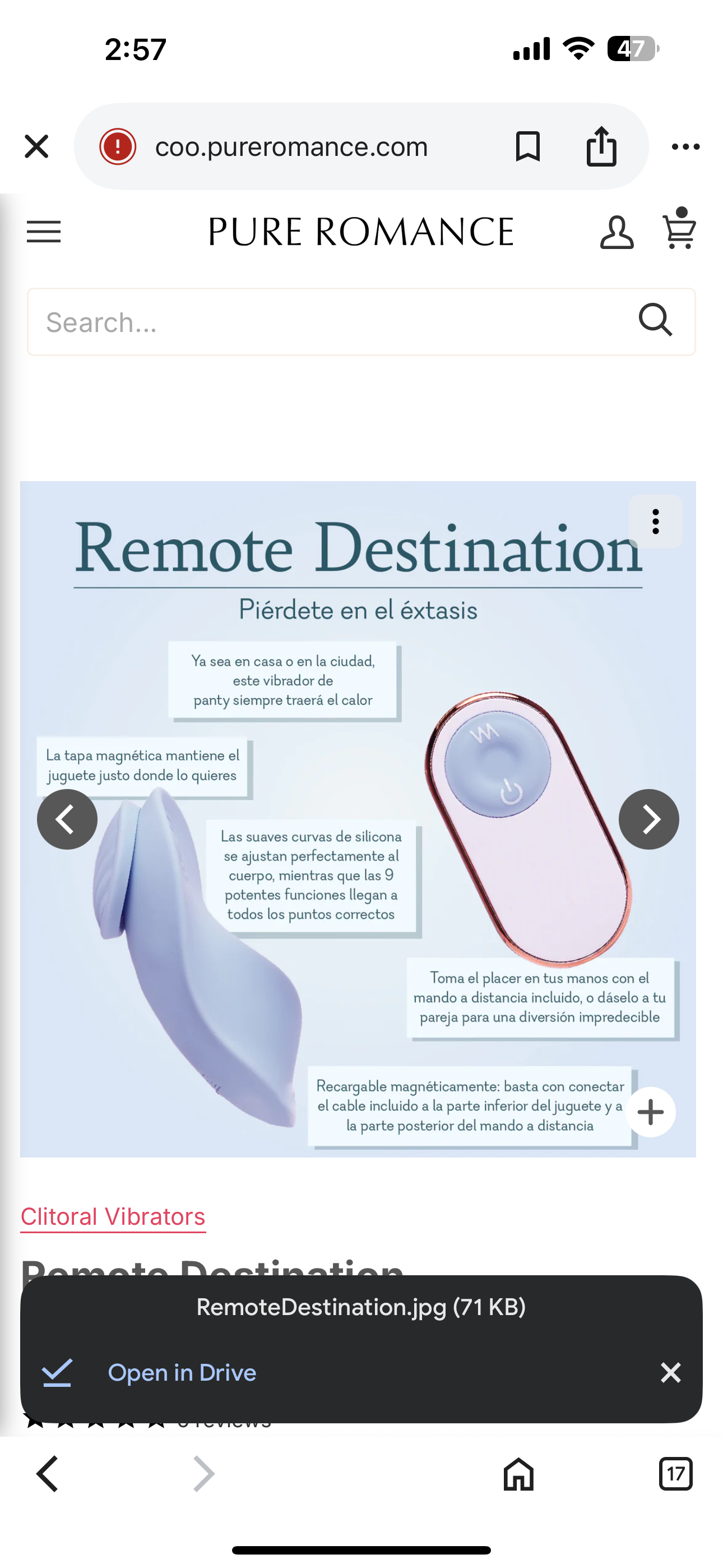 Remote Destination - Magnetic Panty Vibrator