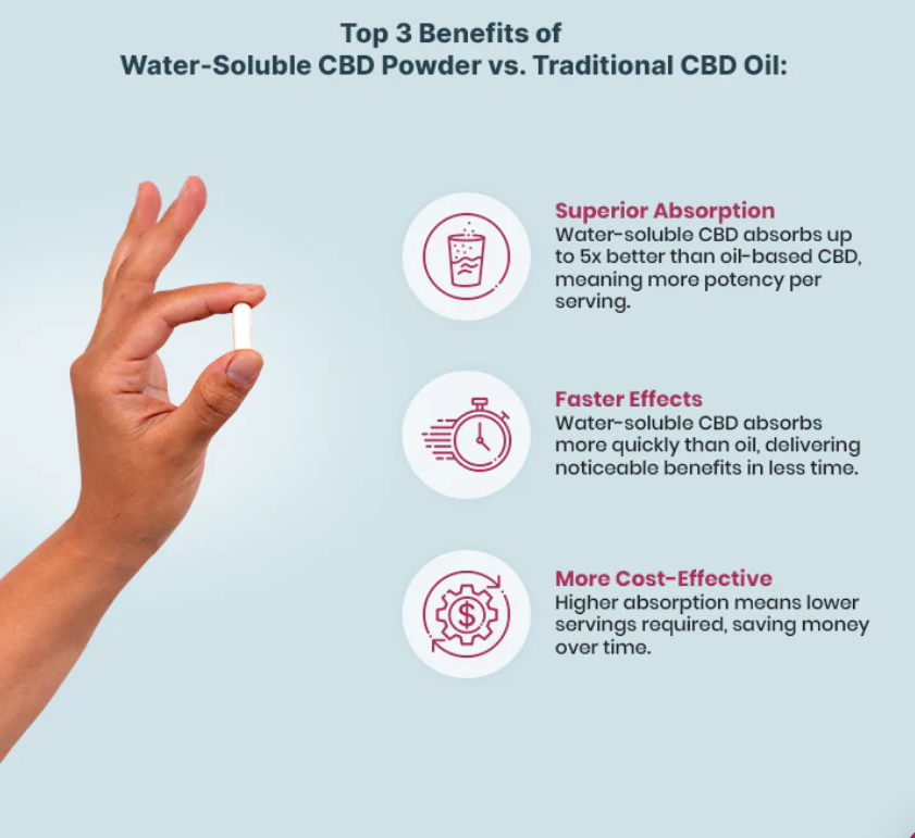 Organic CBD Capsules - 25mg (No THC) Anxiety, Stress, Sleep, Muscle & Joint Pain