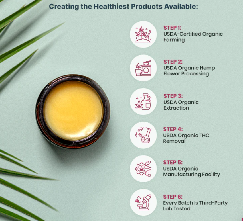 Organic CBD Salve (No THC) 500mg / 1000mg